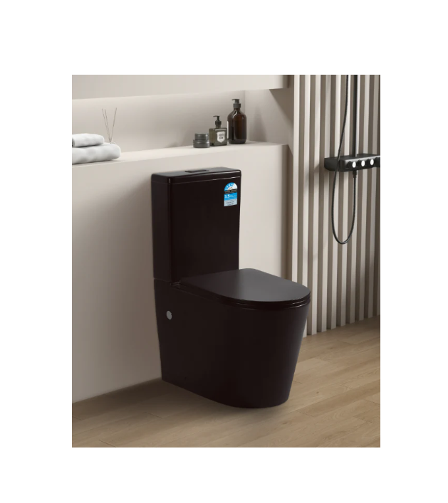 NEO MATTE BLACK RIMLESS TOILET