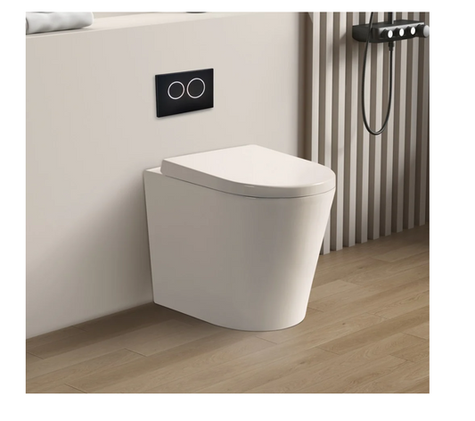 NEO RIMLESS IN WALL TOILET PAN