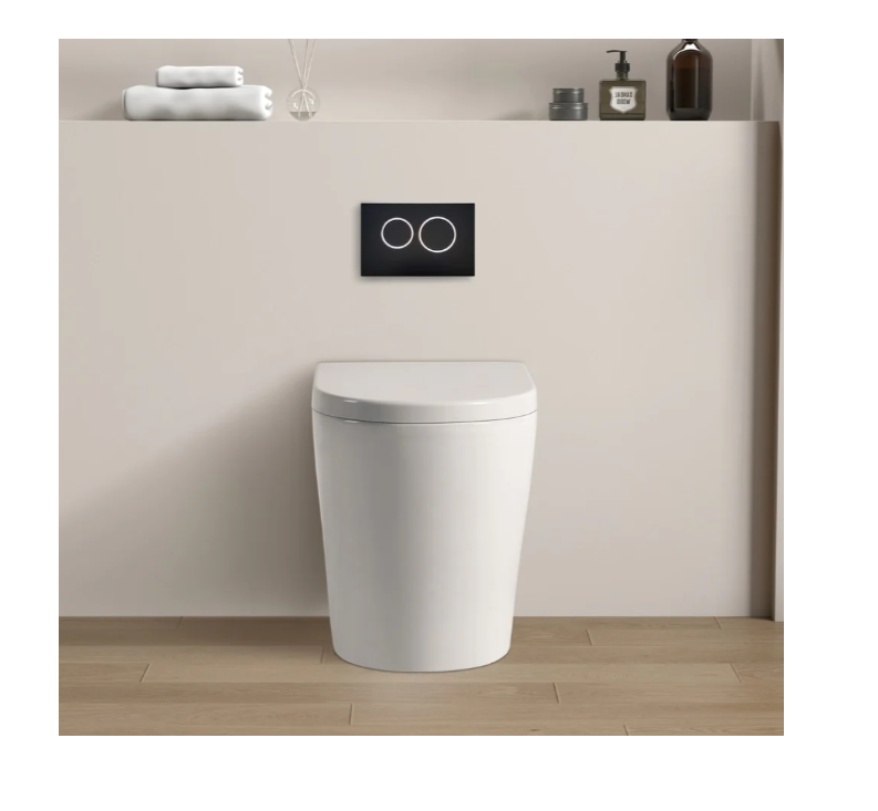 NEO RIMLESS IN WALL TOILET PAN
