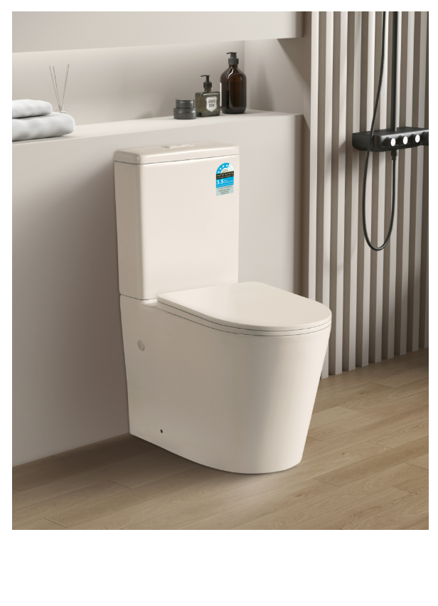 NEO MATTE WHITE RIMLESS TOILET