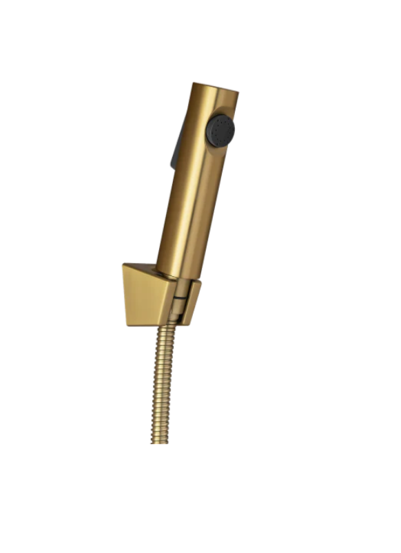 Round Brushed brass ABS Toilet Bidet Spray Kit with Stainless Steel Hose