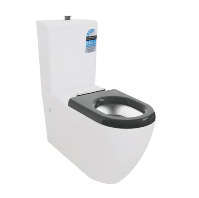 DISABLED CARE RIMLESS TOILET SUITE