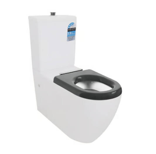 DISABLED CARE RIMLESS TOILET SUITE