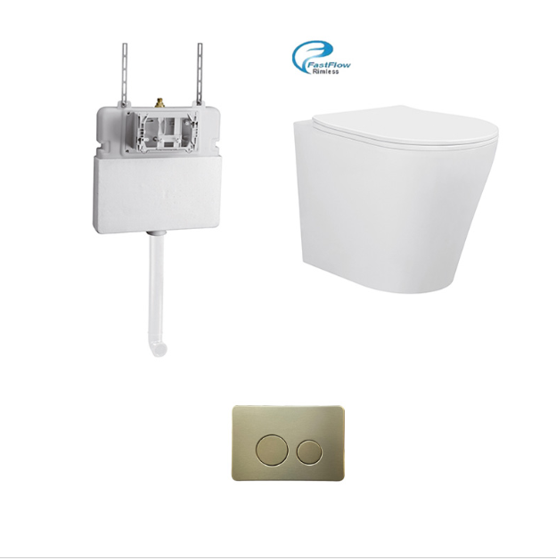 BRAVO-II RIMLESS IN-WALL FLOOR BACK TO WALL TOILET