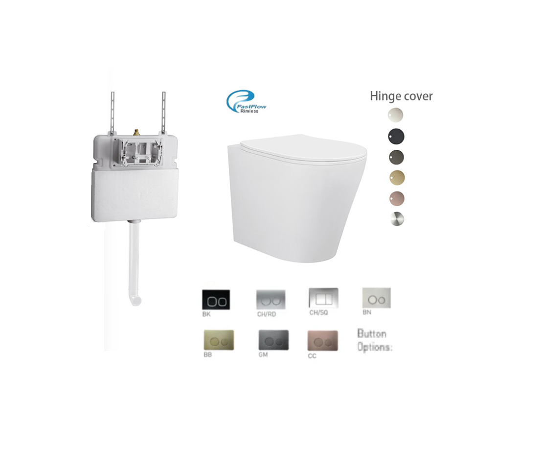 BRAVO-II RIMLESS IN-WALL FLOOR BACK TO WALL TOILET